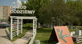 Ogród Codzienny - Wola Park [ZDJĘCIA]
