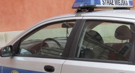 Kradła elementy ogrodzenia przy ul. Jana Kazimierza