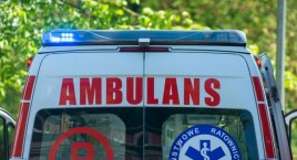 Pies terroryzował mieszkańców Woli. Właściciel znęcał się nad nim. W końcu zwierzę ugryzło kobietę 