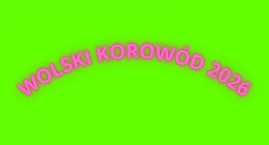 Wolski Korowód po raz dwudziesty! Będzie się działo...