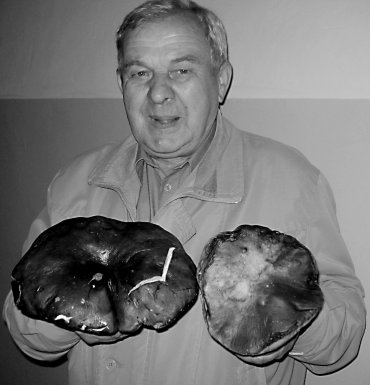I po grzybach