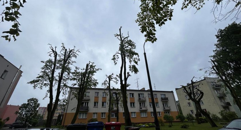 Cięcia drzew na terenie osiedli - mieszkańcy mówią o skandalu [FOTO]