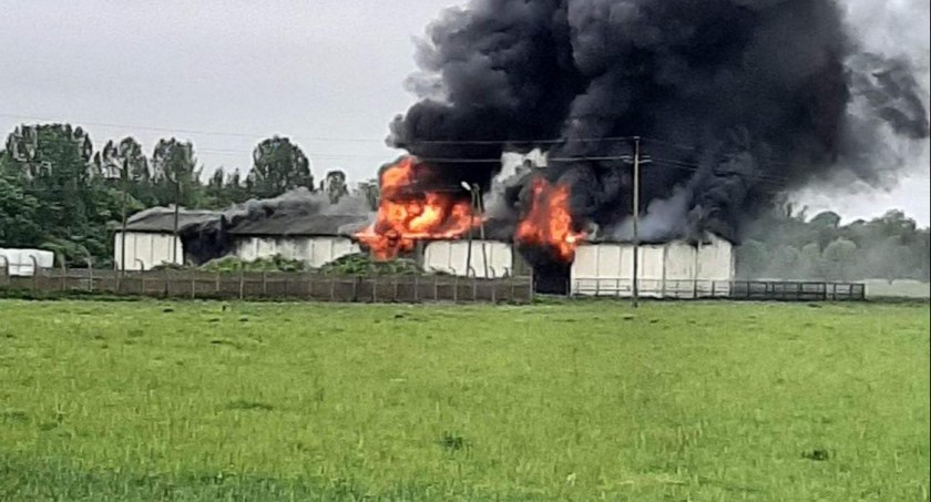 Pożar w Żdżarowie - na miejscu 15 jednostek straży pożarnej