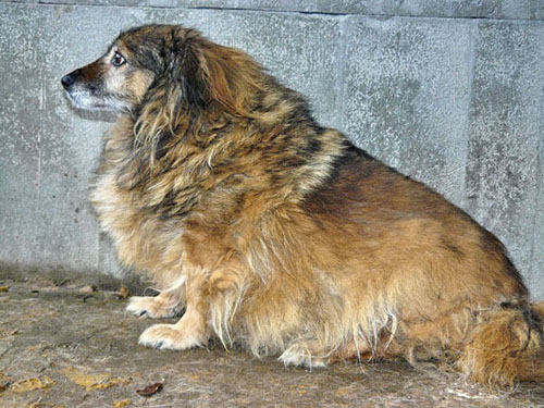 Przygarnij mnie - 21.11.2007