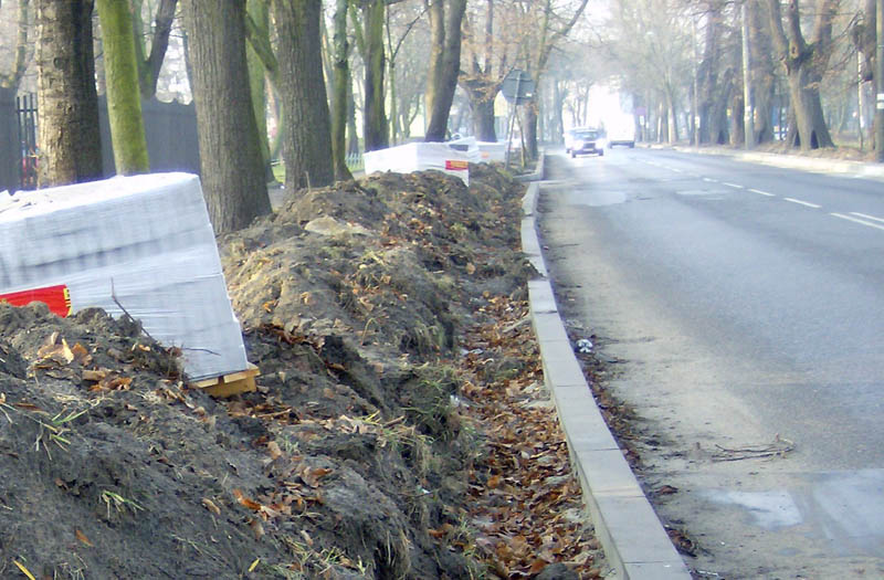 Pogodzić lipy z drogą
