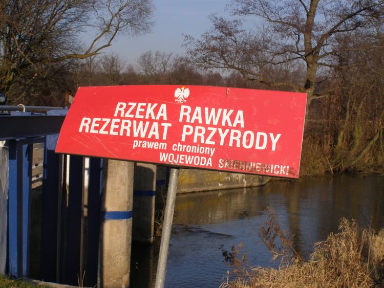 Czysta Bzura III – ostatni akord