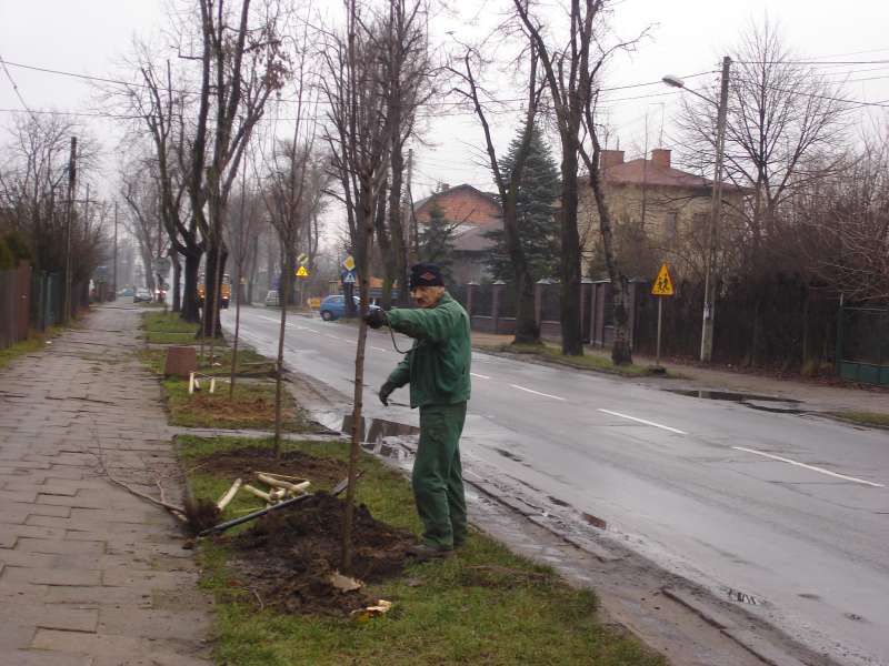 Inwestycja w zieleń - szczegóły
