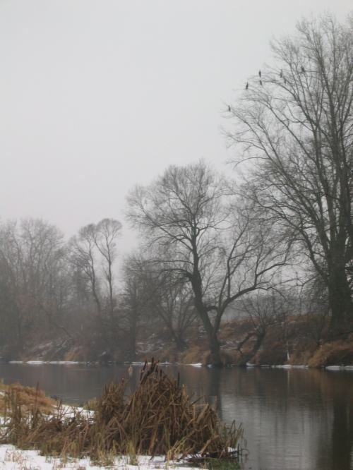 Nowy Rok nad Bzurą
