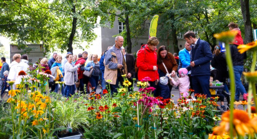 Skierniewickie Święto Kwiatów, Owoców i Warzyw 2023 - rozpoczynamy odliczanie do 46. edycji 
