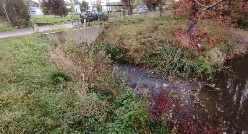 Staw w Parku Garbolewskiego zasilany ściekami