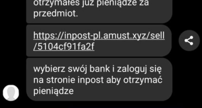 Mieszkanka padła ofiarą oszustwa internetowego. To nie pierwsza taka sytuacja 