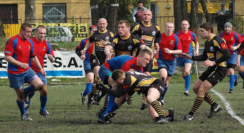 Polegli po walce