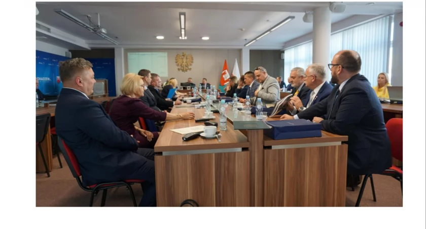 Działamy lokalnie, myślimy globalnie -  wybieramy europejski Sochaczew
