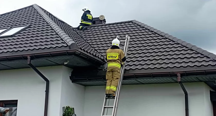 Nietypowa interwencja strażaków z OSP Rybno
