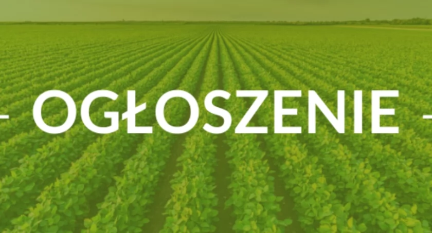 Gmina Rybno: Możliwość składania wniosków w związku z powstałymi szkodami w uprawach rolnych spowodowanych warunkami atmosferycznymi