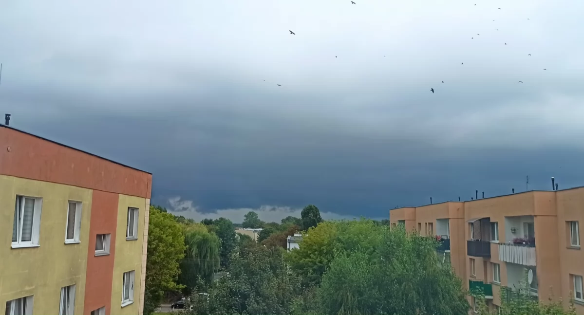 IMGW: dla powiatu sochaczewskiego wystawiono 2 alerty ze względu na burze