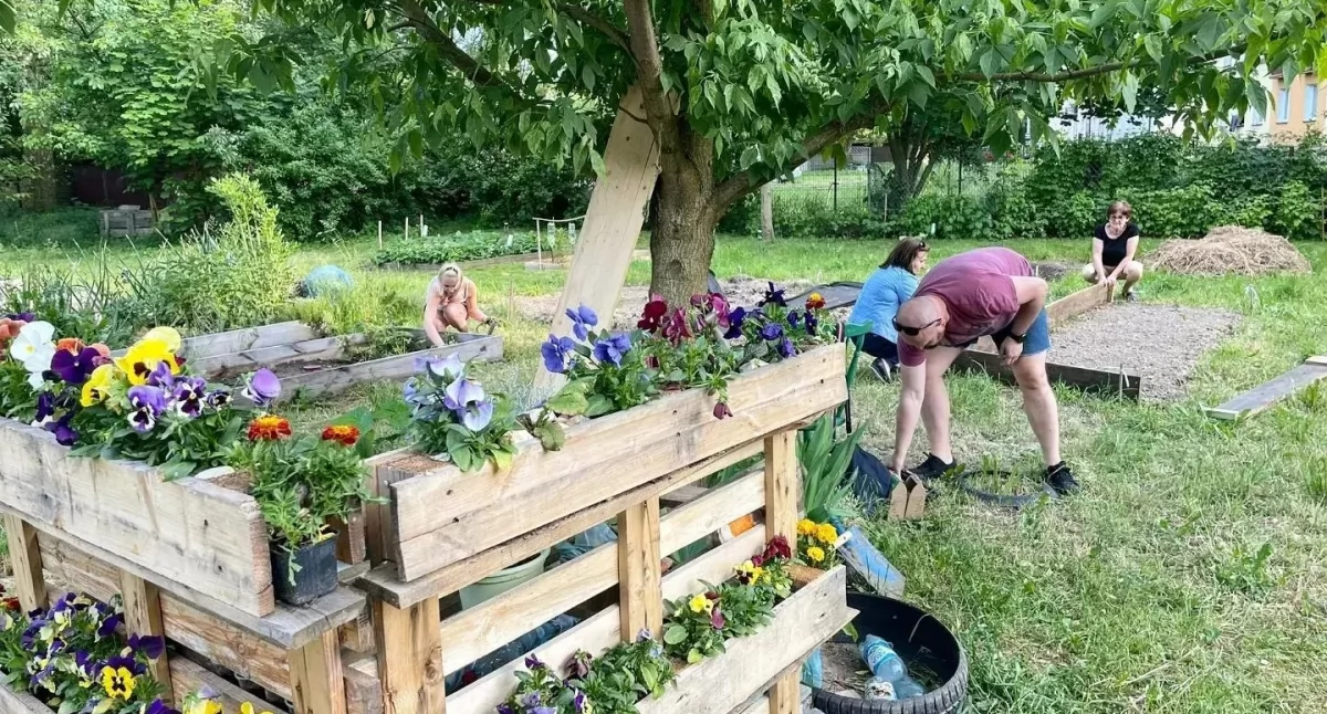 Sochaczew: rodzinny piknik w Ogródku Społecznym Kabaczek