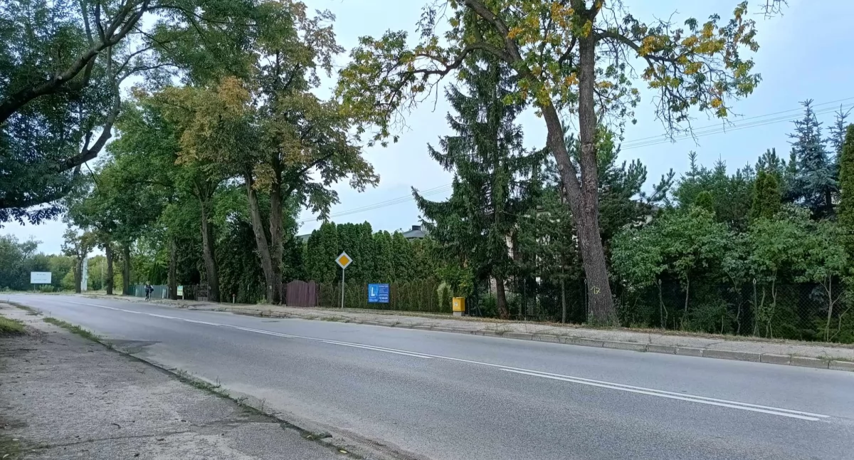 Nowa droga = kolejna wycinka. Czym oddychać? 