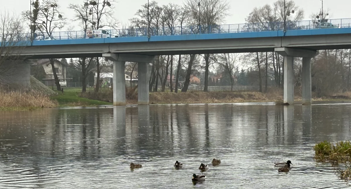 Ciało mężczyzny w Bzurze 