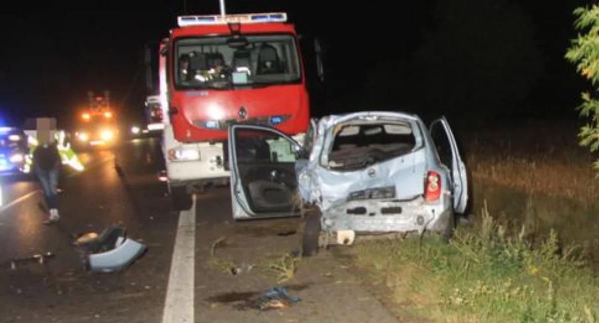 Tragiczny wypadek na DK 10 w Sieklukach: Policja szuka świadków