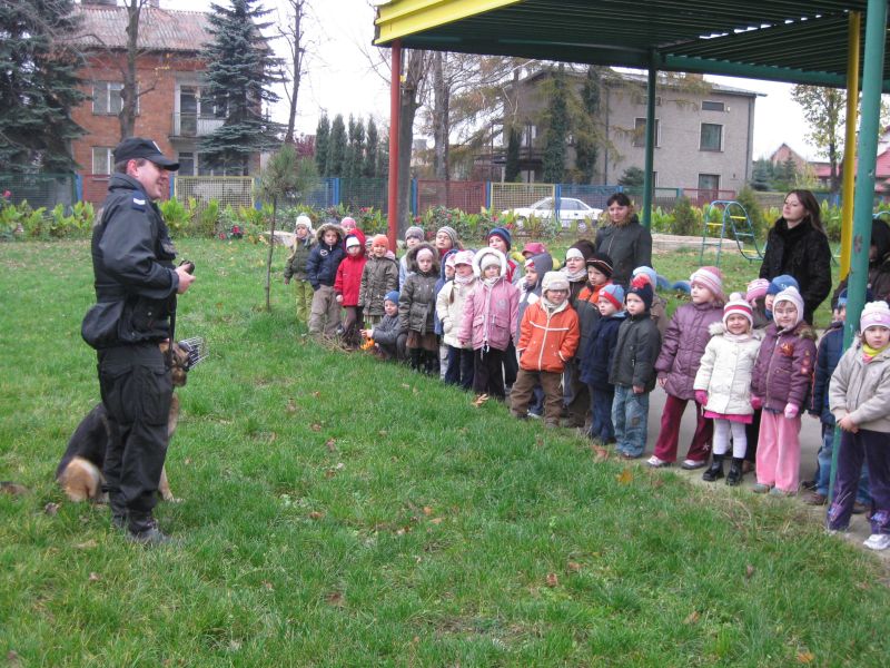 CZWORONOŻNY PRZYJACIEL W PRZEDSZKOLU