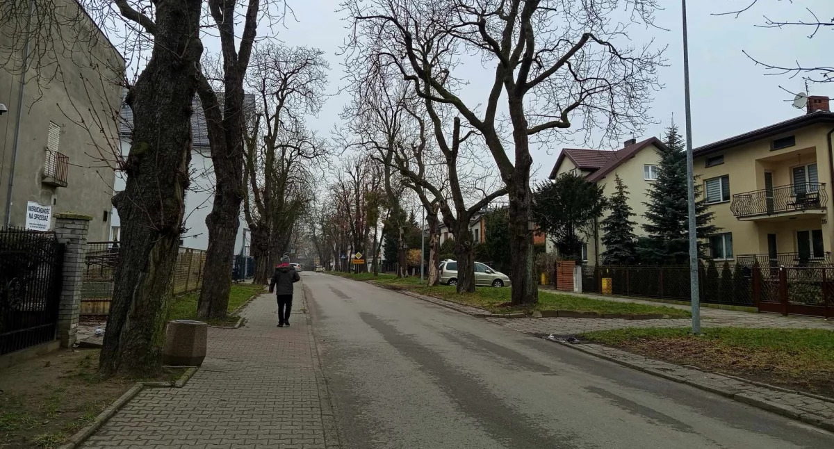Powiat przebuduje Ziemowita