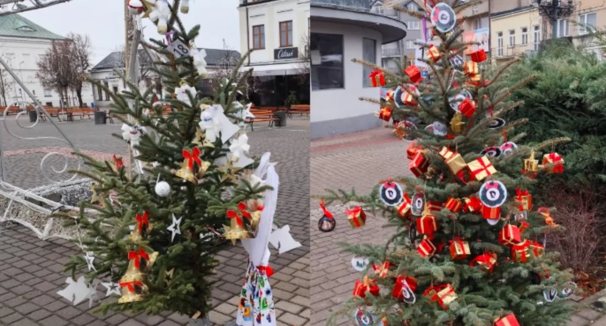 Konkurs Choinka pod Choinkę rozstrzygnięty