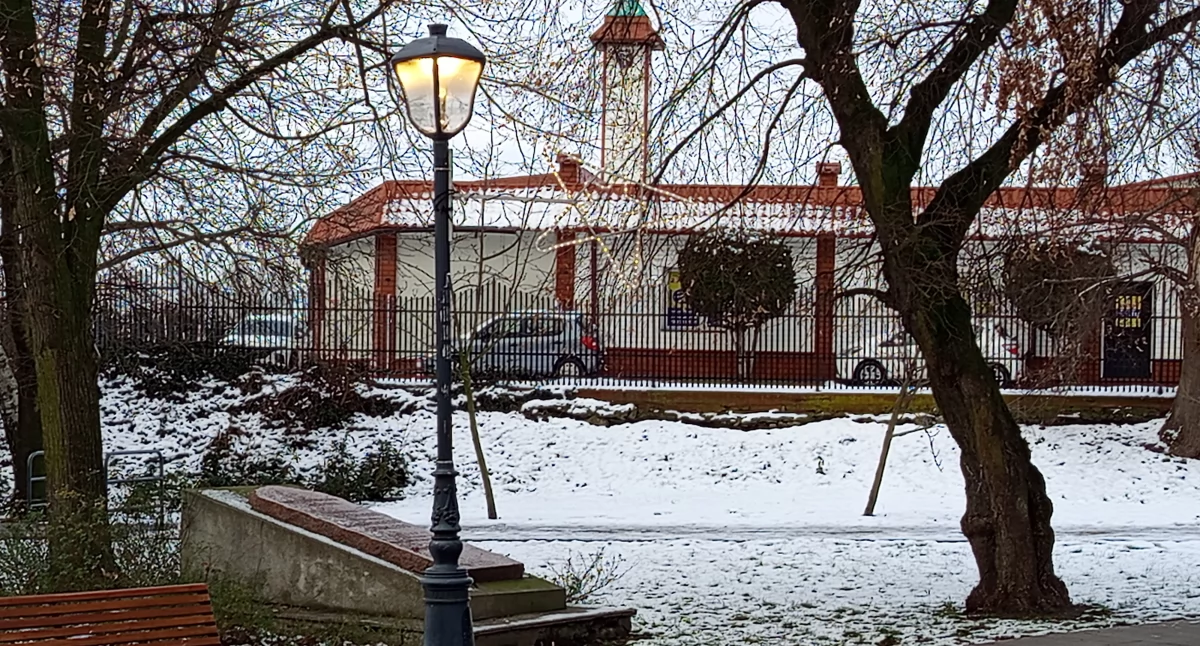 Doświetlają słońce w parku