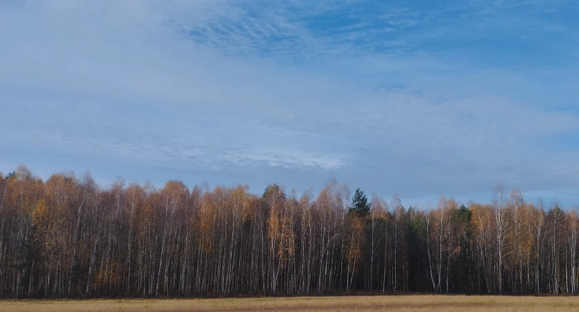 ALFABETYCZNA LISTA OSÓB ZAKWALIFIKOWANYCH NA WYSTAWĘ 
