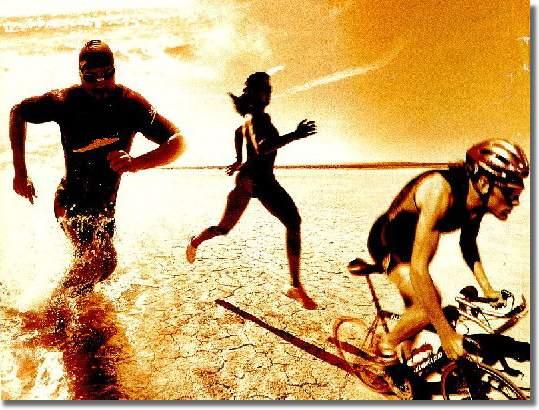 Sportowe podsumowanie roku 2008