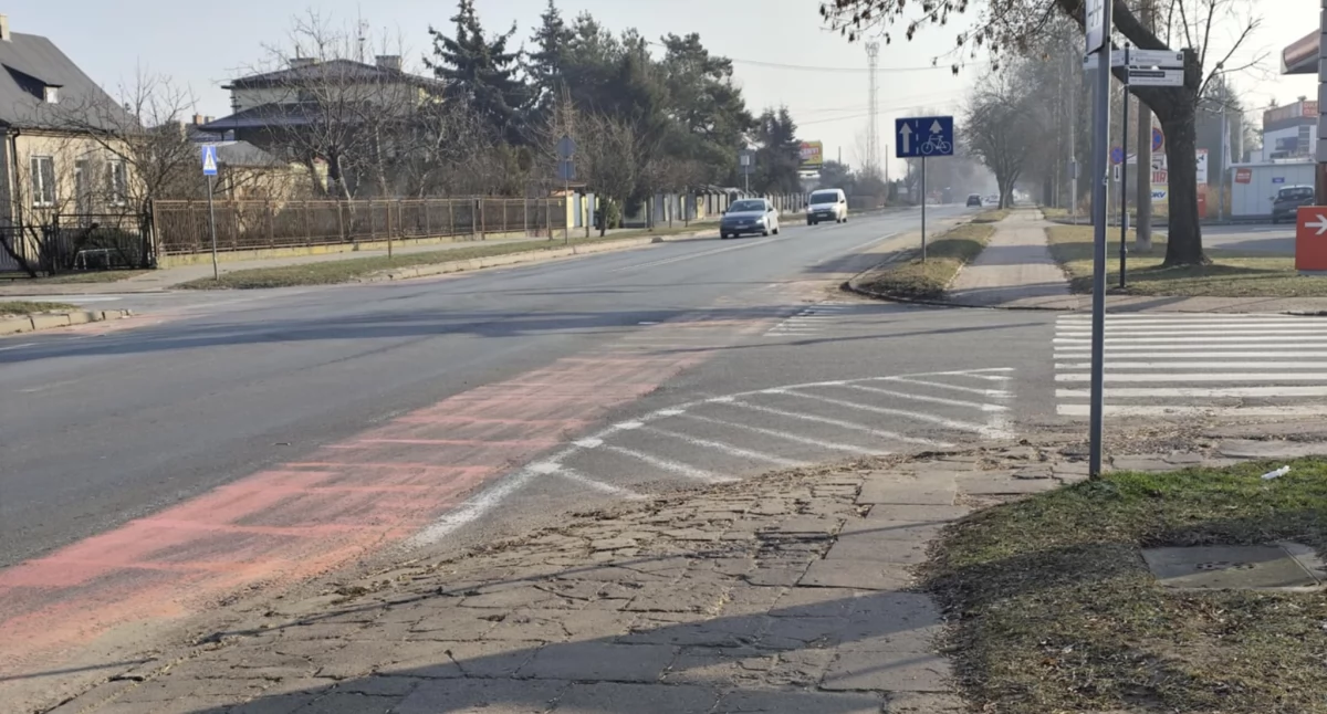 Czy ogródki działkowe ocaleją