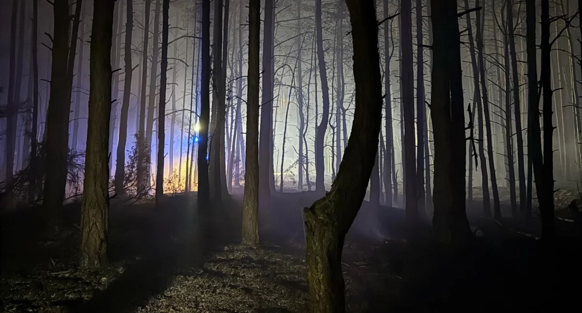 Pożar w Kampinoskim Parku Narodowym. Spłonęły trzy hektary lasu