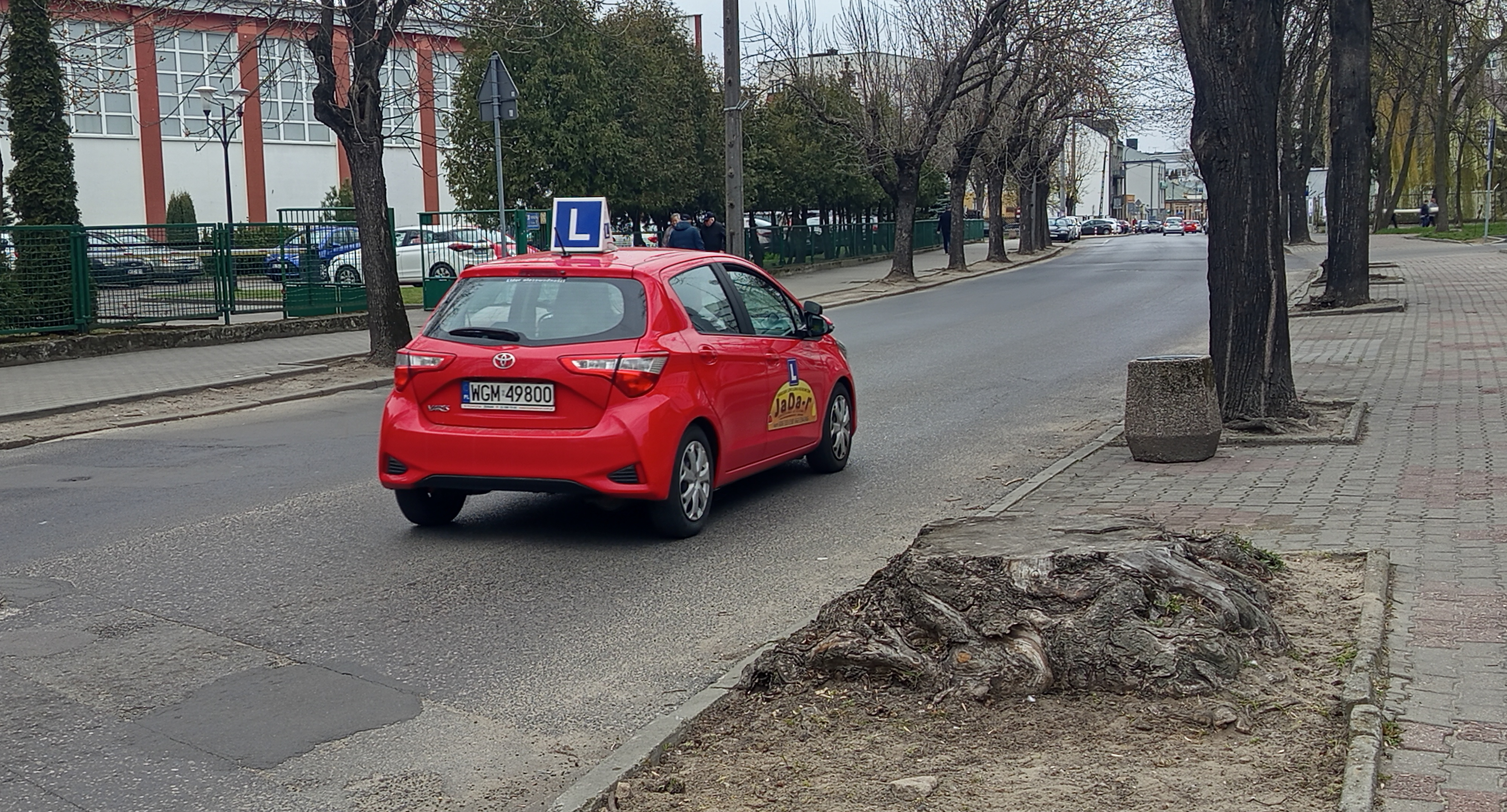 Czterdzieści sochaczewskich drzew z imionami mieszkańców