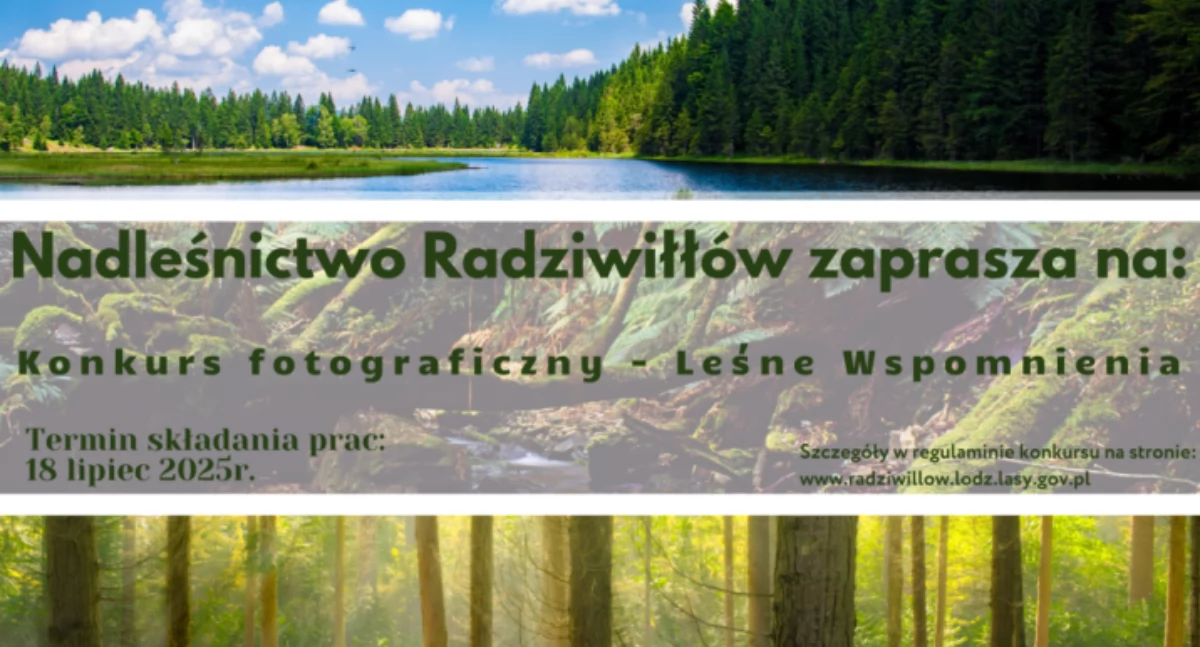 Konkurs fotograficzny „Leśne Wspomnienia”