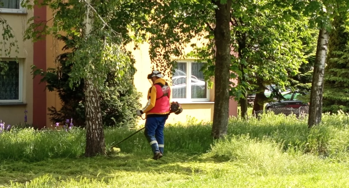 Sianokosy w Sochaczewie rozpoczęte