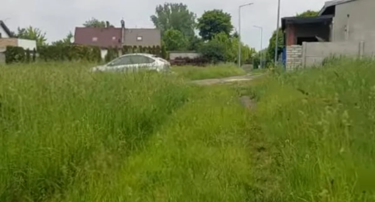 Sochaczewskich drogowców tym razem zaskoczyła wiosna [Wideo] 