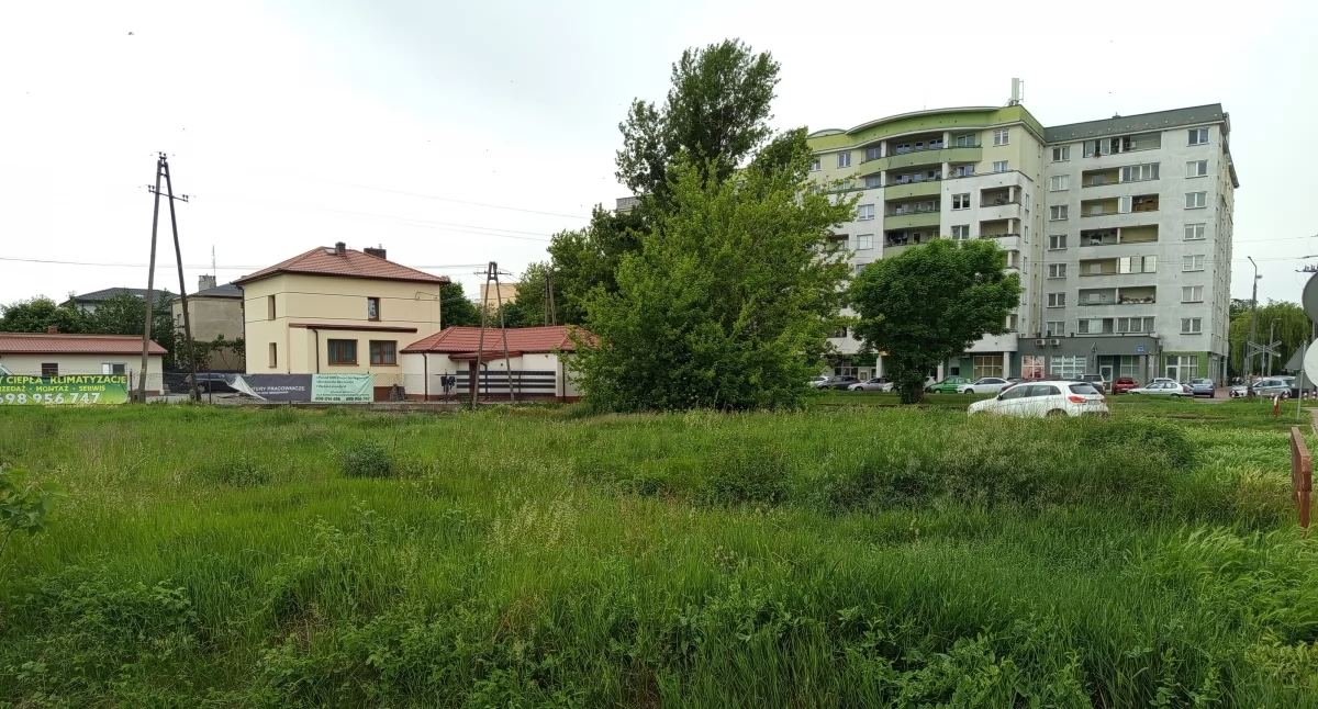 Skwer zamiast pastwiska - wszystko w rękach burmistrza