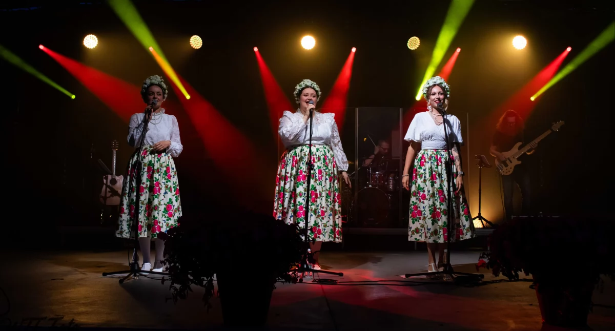 Dni Sochaczewa – folkowy wieczór