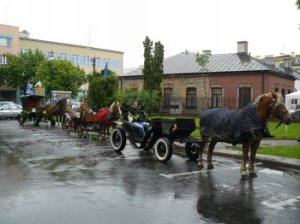 Wąskiej dawny czar