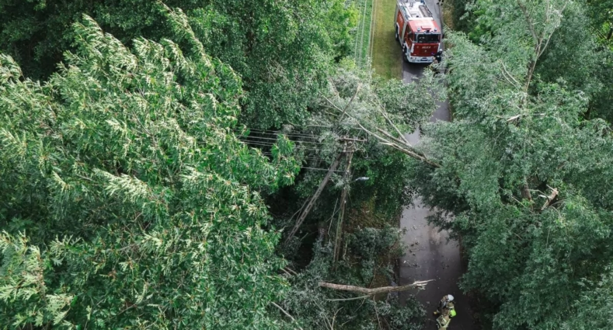 Pracowita środa sochaczewskich strażaków - 19 wyjazdów w ciągu doby