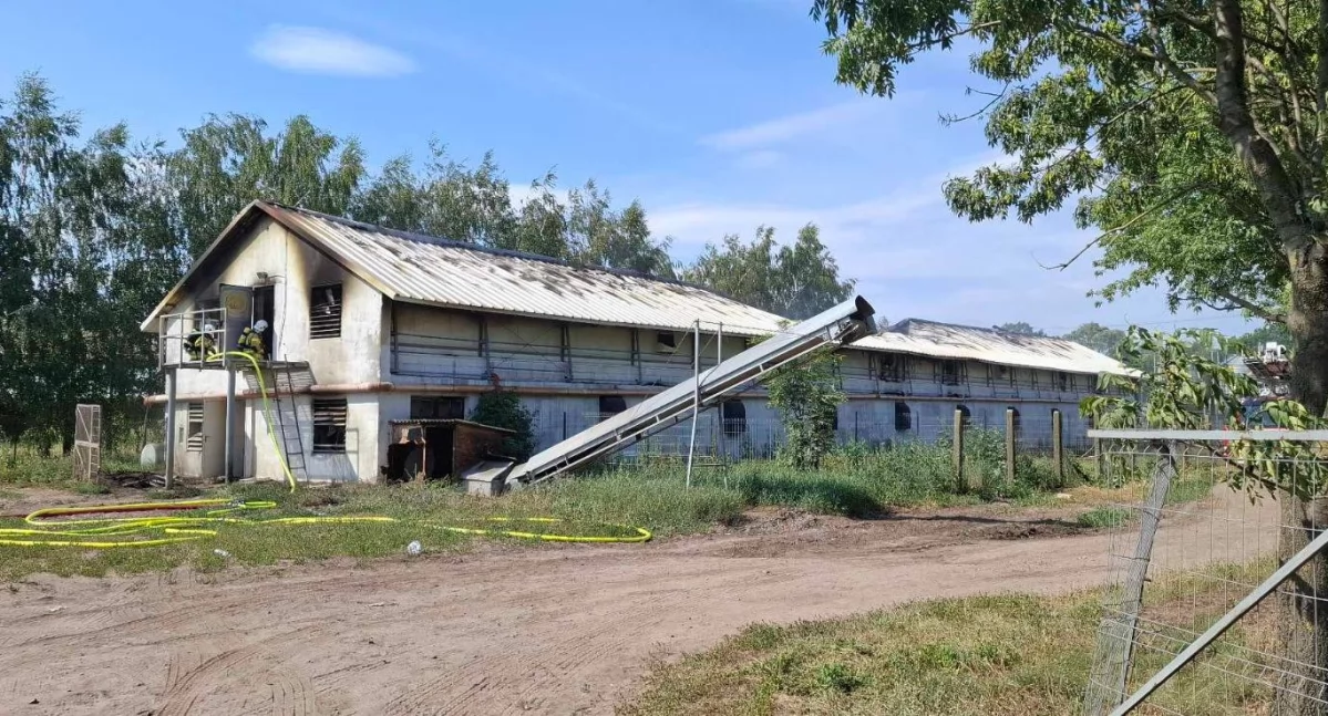 Wielogodzinna walka z pożarem kurnika w Rokotowie — ogromne straty  
