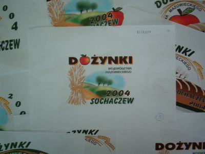Dożynki na podzamczu