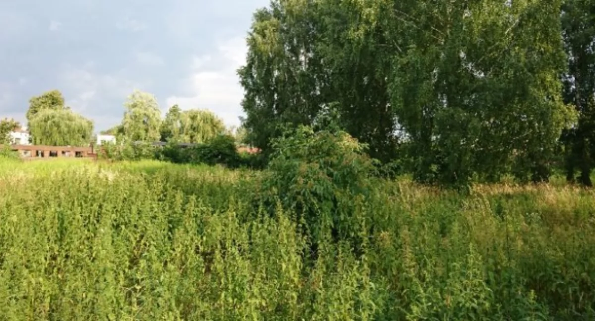 Sochaczew pozbywa się kolejnych nieruchomości — tym razem działek budowlanych