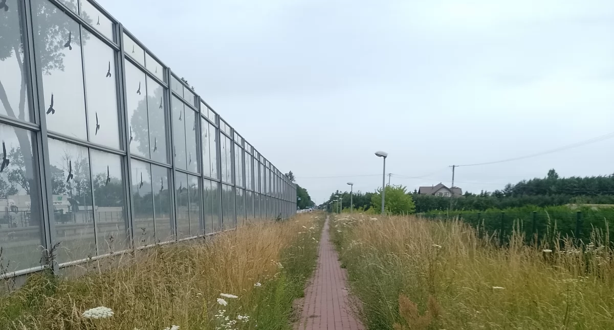 Mieszkańcy pytają, kto wykosi trawę wzdłuż dróg w gminie Sochaczew