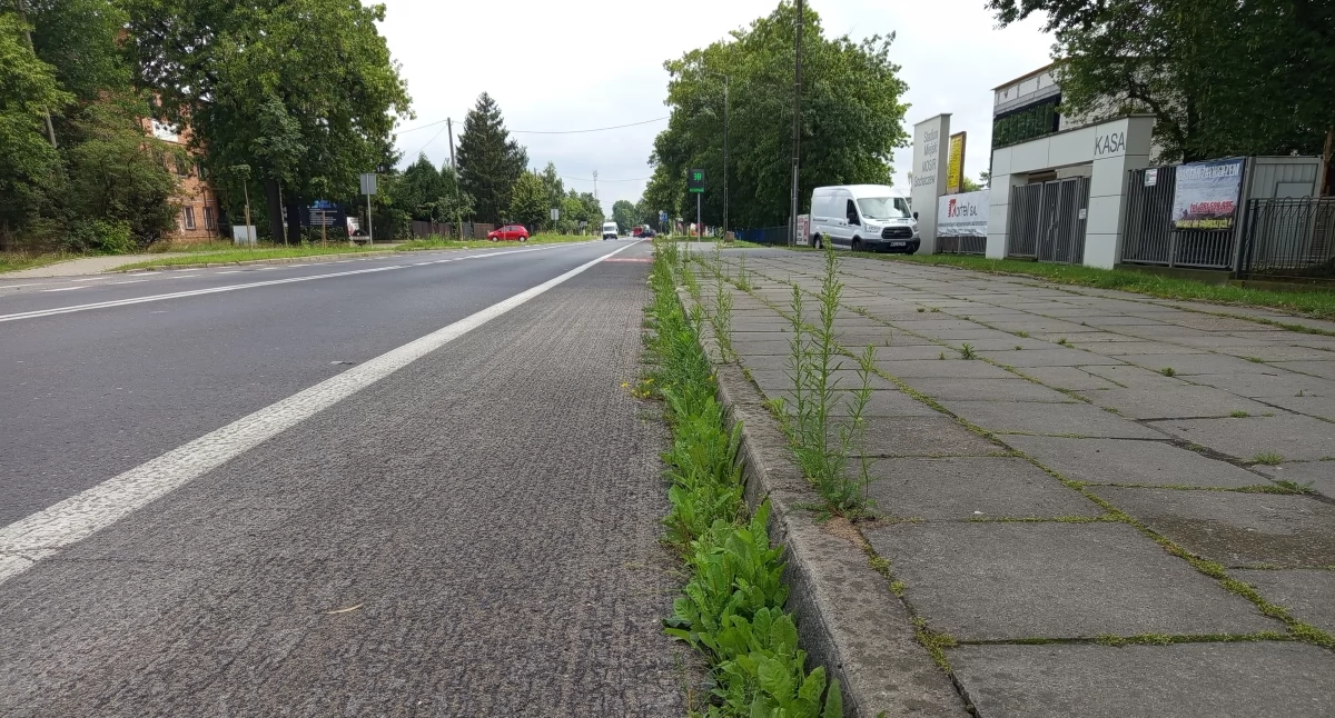 Ulice Sochaczewa zarastają trawą — kto je posprząta