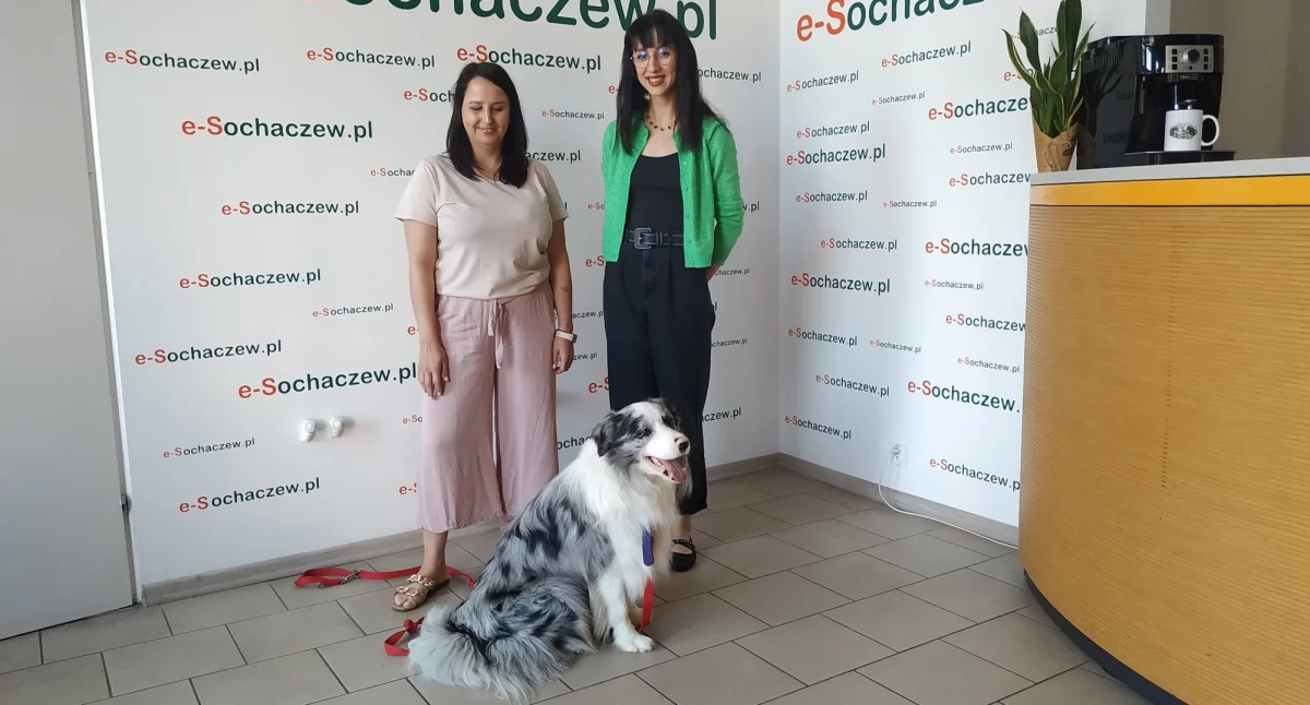 Artysta Zdrowia i Dogoterapia z pieskiem Dante w roli głównej [WIDEO]