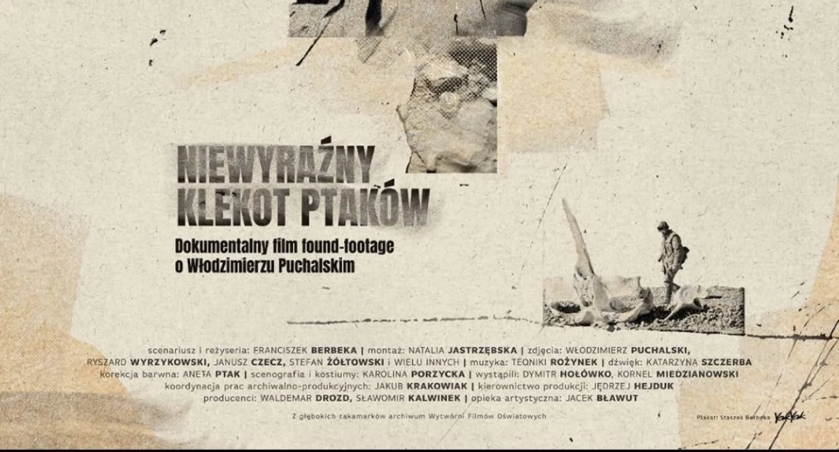 Filmowy pokaz w sercu Puszczy Kampinoskiej
