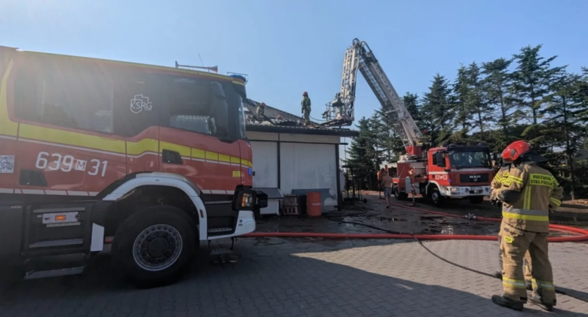 Kolejny pożar lasu — tym razem w Nowym Dębsku  