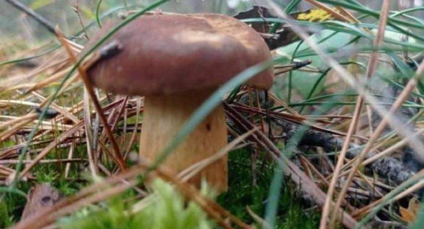 Powiatowy Konkurs Fotograficzny „Cztery pory roku. Jesień”