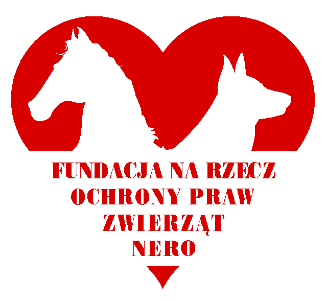 Pomagają niechcianym
